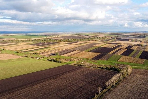 Термін оформлення права власності на невитребувані земельні паї продовжено до 2028 року фото, ілюстрація