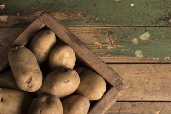 Швейцарські фермери розмірковують: Чи варто взагалі вирощувати картоплю? А Україна третій рік поспіль збирає непоганий врожай фото, ілюстрація