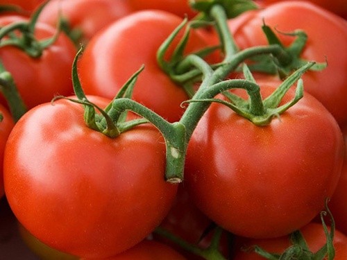 Подальше зниження цін на томати на українському ринку майже неможливе, – УПОА фото, ілюстрація
