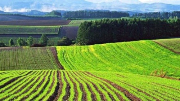 На Кіровоградщині фермер користувався землею за підробленими документами фото, ілюстрація