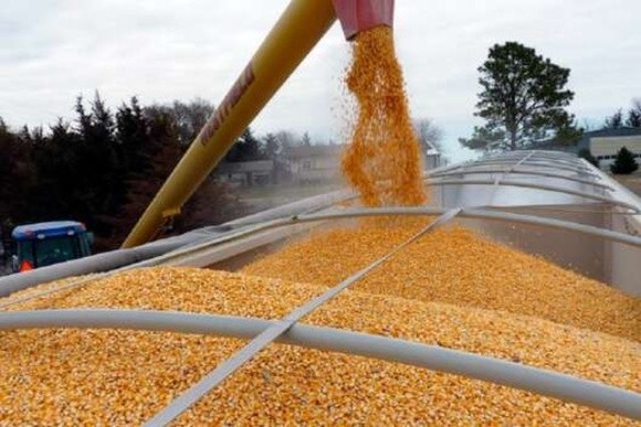Росія вирішила «експропріювати» зерно в Херсонській області, — МЗС  фото, ілюстрація