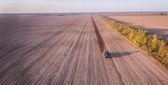 У Болградському районі Одещини розпочалась незвичайна акція з відновлення лісосмуг фото, ілюстрація