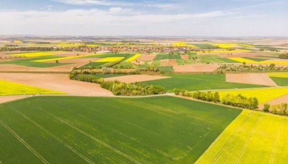 Уряд планує скасувати частину нормативних актів, що стосуються земельних питань фото, ілюстрація