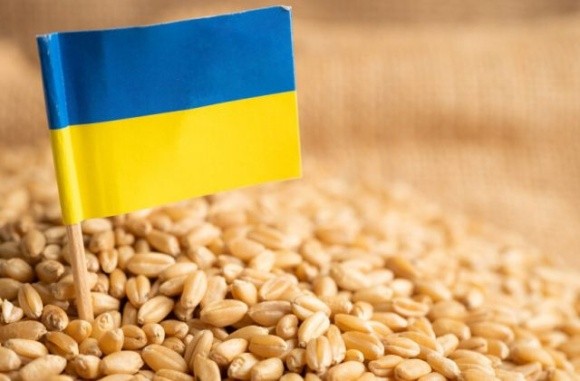 Україна має отримати компенсацію за обмеження експорту агропродукції до ЄС, – Ольга Стефанішина фото, ілюстрація