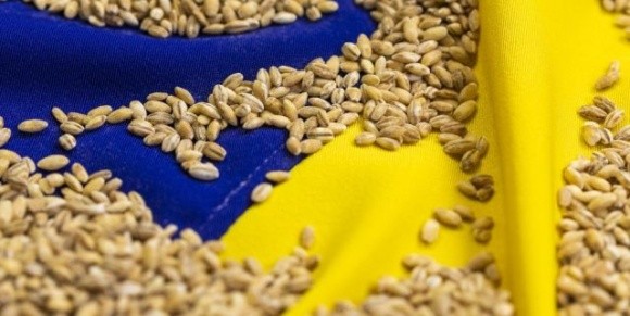 Україні необхідно вивозити хоча б 4 млн т зерна на місяць, – Денис Марчук фото, ілюстрація