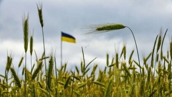 Польща, Угорщина та Словаччина мають зняти одностороннє обмеження на імпорт українського зерна, – Єврокомісар фото, ілюстрація