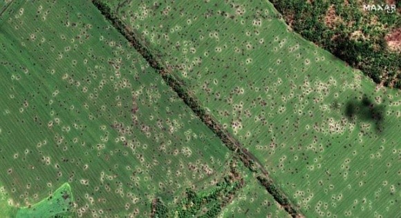 Обстеження замінованих земель за допомогою супутникових знімків скоротить час на їх розмінування, – Денис Башлик фото, ілюстрація