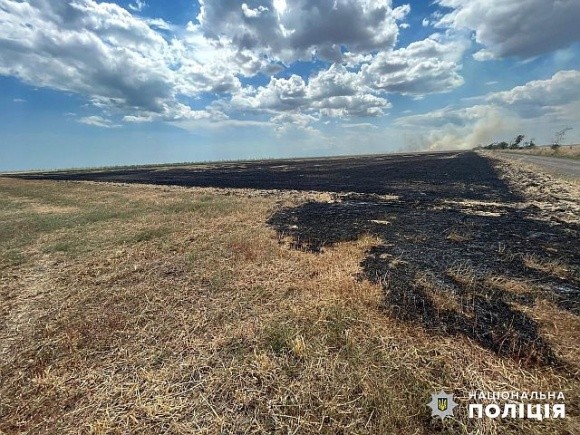 На Одещині фермер вирішив зекономити на прибиранні стерні – тепер йому загрожує до 5 років позбавлення волі фото, ілюстрація