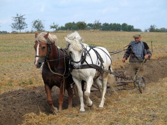 Українці, які самостійно обробляють великі земельні ділянки, мають декларувати доходи, — податкова фото, ілюстрація