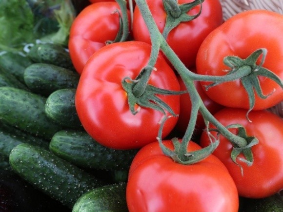 Україна нарощує імпорт томатів та огірків навіть у розпал сезону фото, ілюстрація