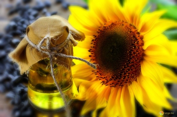 Україна випередить Росію з експорту соняшникової олії - експерти фото, ілюстрація