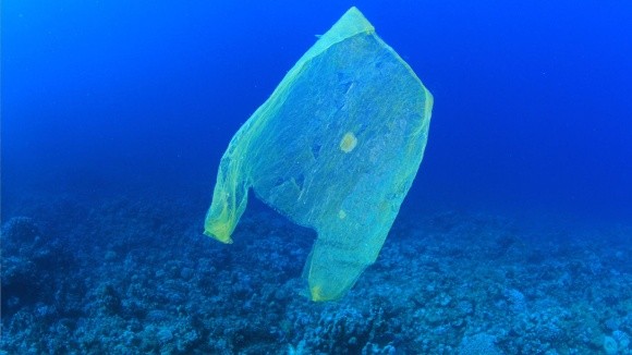 Через 30 років в океані буде більше пластика, ніж риби фото, ілюстрація