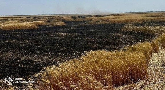 На Херсонщині окупанти за допомогою дронів підпалюють поля з пшеницею фото, ілюстрація