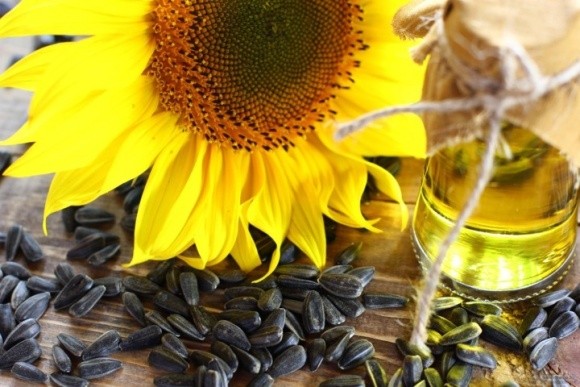Високоолеїнова олія коштує на 13% дорожче за звичайну соняшникову фото, ілюстрація