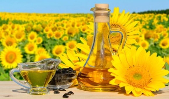 Минулого сезону Україна експортувала 511 тис. тонн рафінованої соняшникової олії фото, иллюстрация