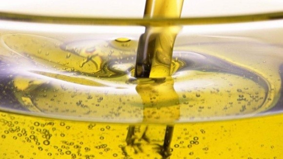 В Україні прогнозується подальше збільшення виробництва олійних  фото, ілюстрація