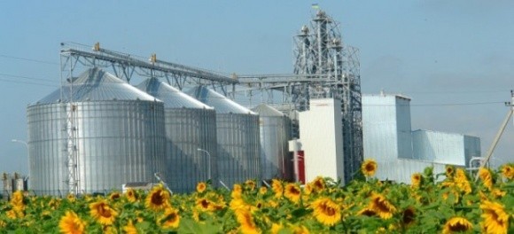 Навесні очікується відкриття трьох заводів з переробки соняшнику фото, ілюстрація