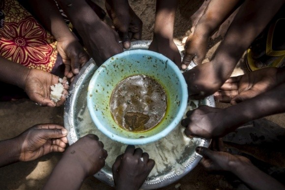 ООН запасається їжею через імовірний голод у світі внаслідок пандемії  фото, ілюстрація