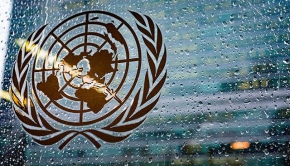 Україна увійшла до Комітету продовольчої безпеки ООН фото, ілюстрація