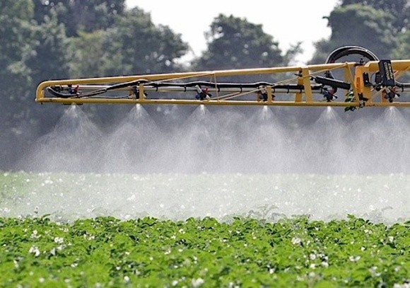 Агролайфхак: 5 советов, как повысить эффективность воздействия пестицидов фото, иллюстрация