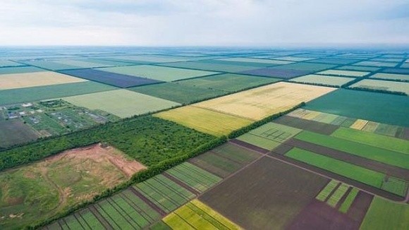 На державних аукціонах оренда землі зросла у 8 разів: що це означає для аграріїв фото, ілюстрація