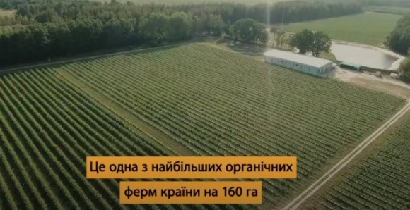 Как на заброшенной земле аграрии обустроили крупнейшее органическое хозяйство в Украине фото, иллюстрация