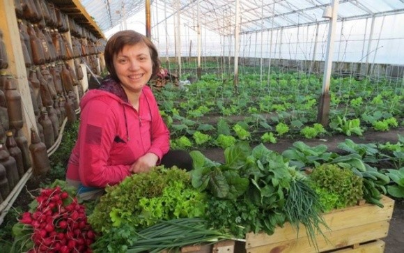Фермери з Сумщини створили на 100 відсотків екологічне господарство фото, ілюстрація