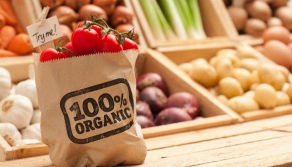 В Україні створять Національний каталог експортерів харчової органічної продукції фото, ілюстрація