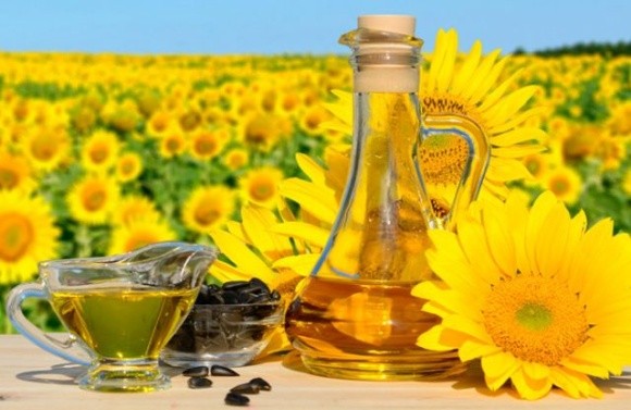 У 2019/20 МР «Укролія» забезпечила третину експортних відвантажень органічної соняшникової олії фото, ілюстрація