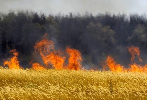Два поля з пшеницею горіли на Миколаївщині, - ДСНС фото, ілюстрація