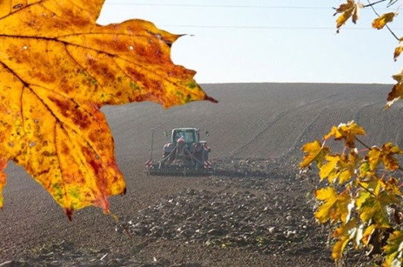 На Рівненщині закінчують осінню посівну фото, ілюстрація