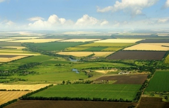 Иностранцы смогут покупать в Украине землю через 10 лет, — мнение фото, иллюстрация