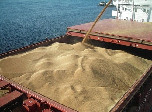 Експорт українського зерна з початку сезону перевищує 4 млн. тон фото, ілюстрація