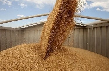 Україна експортувала рекордний обсяг кукурудзи до Туреччини фото, ілюстрація