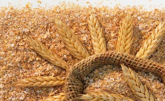 Египет возобновит импорт украинских пшеничных отрубей фото, иллюстрация