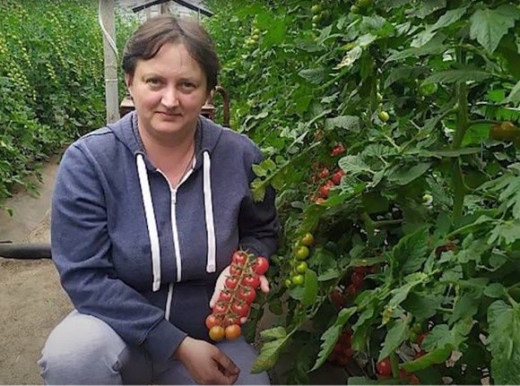  Бізнес під прицілом: підприємиця з Луганщини об’єднала аграріїв в успішний кооператив фото, ілюстрація