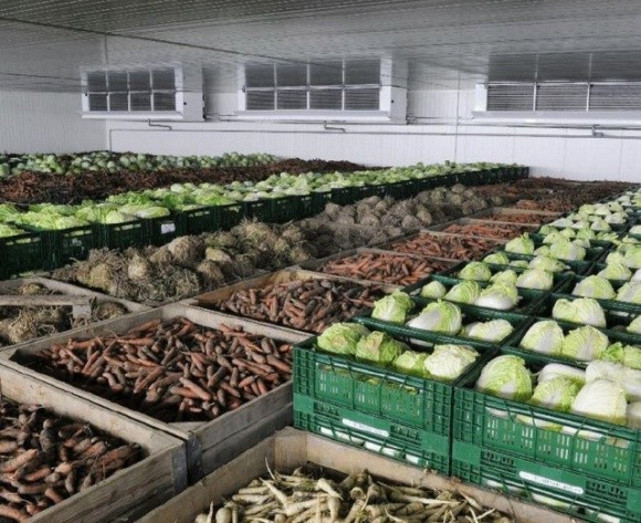 Подорожчання борщового набору взимку відбувається через брак овочесховищ, — економіст фото, ілюстрація