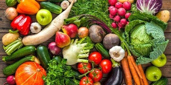 Прохання до аграріїв-виробників овочів та фруктів фото, ілюстрація