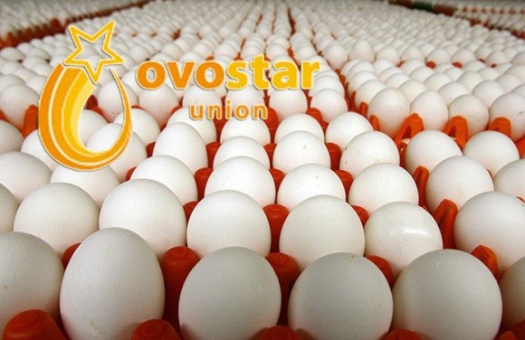 Ovostar Union має намір купити польський птахокомплекс фото, ілюстрація