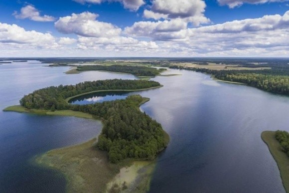 Вчені розповіли про головну загрозу для європейських річок та озер фото, ілюстрація