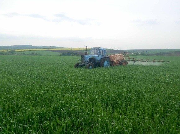 Запаси продуктивної вологи під озимими культурами в більшості регіонів України оптимальні фото, ілюстрація