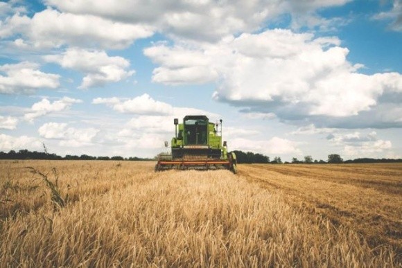 Мінагрополітики прогнозує падіння сільгоспвиробництва на 10% фото, ілюстрація