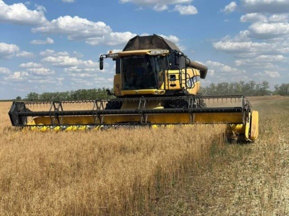 ПАЕК збирає врожай гірчиці на деокупованих землях фото, ілюстрація