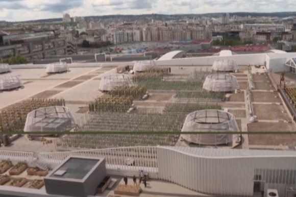У Парижі відкрили найбільший у світі сад на даху фото, ілюстрація