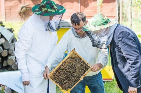 З пасічниками проведуть семінари щодо запобігання отруєнню бджіл фото, ілюстрація
