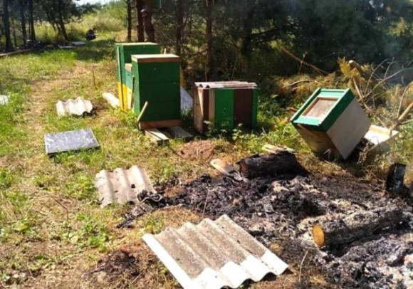 На Тернопільщині нелюди навмисне спалили пасіку фото, ілюстрація