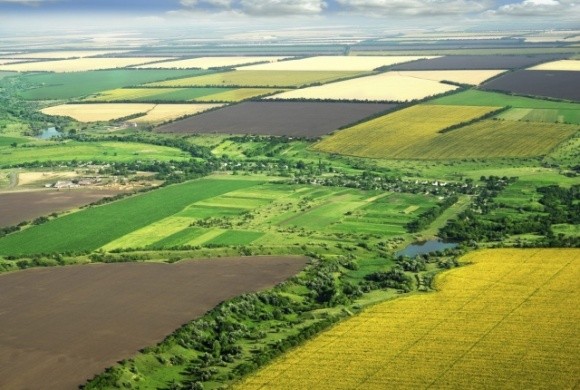 За гектар с/г землі на Дніпропетровщині просять 7500 доларів фото, ілюстрація