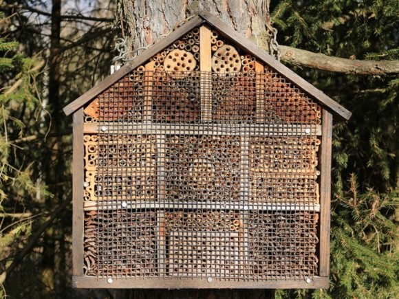 Агролайфхак: як побудувати бджолиний готель і підвищити врожайність культур фото, ілюстрація