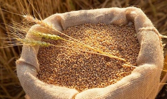 Україна до червня експортує всі перехідні залишки зернових, – Денис Марчук фото, ілюстрація