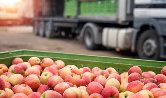 На ринку яблук з’явилась нова тенденція фото, ілюстрація